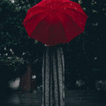 portfolio-7